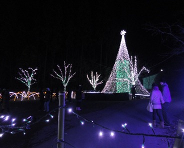 DSC04503 DSC04503