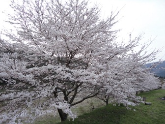 DSC03658 DSC03658