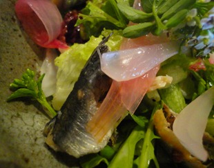 DSC05152 DSC05152