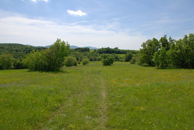 Val Rosandra