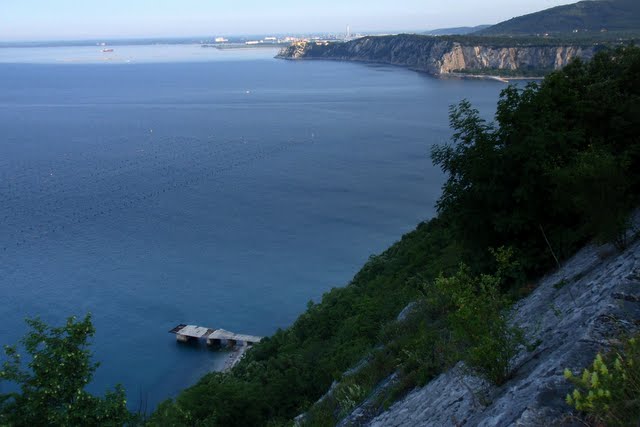 Carso Triestino