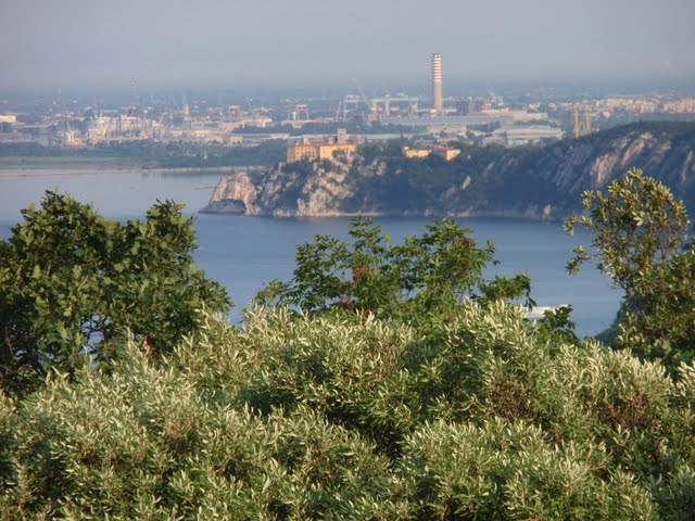 Carso Triestino