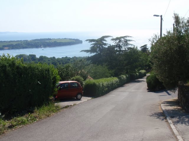 Punta Grossa