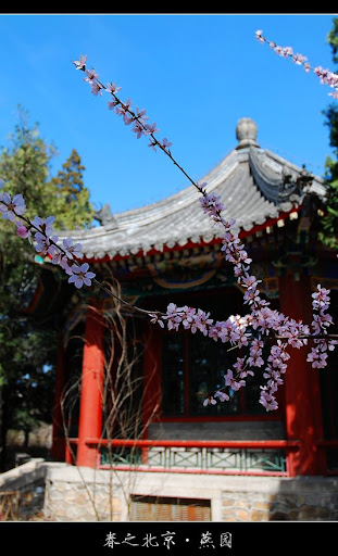 北京大学-春天-美景摄影-未名湖-亭子