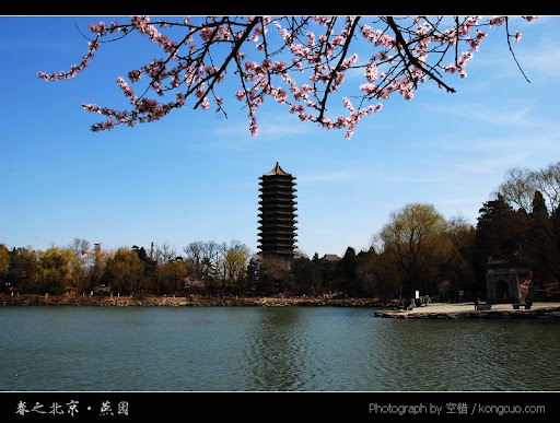北京大学-春天-美景摄影-未名湖