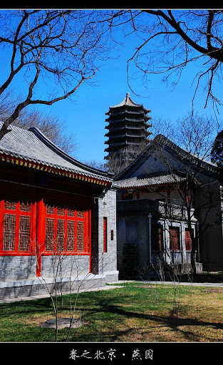 北京大学-春天-美景摄影-教学楼