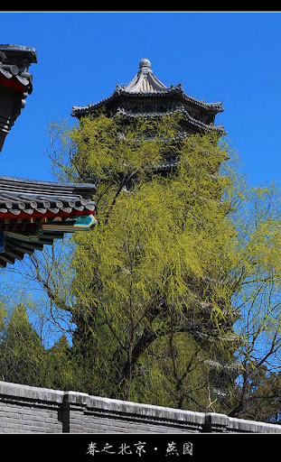 北京大学-春天-美景摄影-博雅塔