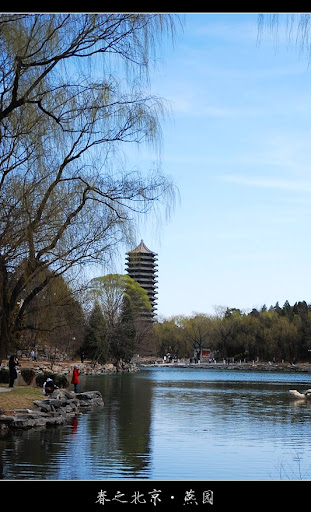 北京大学-春天-美景摄影-未名湖
