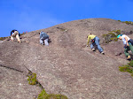 SS852487.JPG - Itaguaré