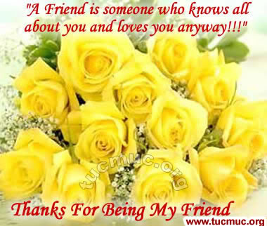 Roses for Friends  Image - 2