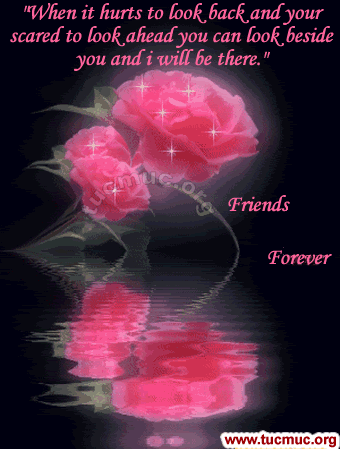 Roses for Friends  Image - 1