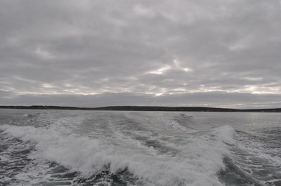 DSC_2646 DSC_2646