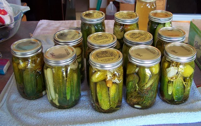 [Cropped Pickles[3].jpg]