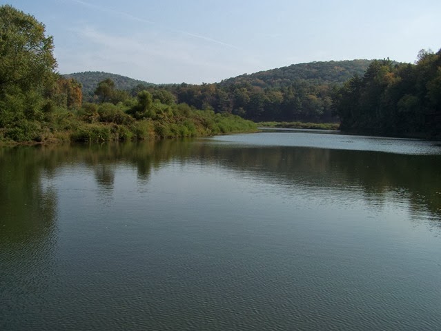 [100_86323.jpg]