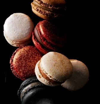 [macarons hermé[4].jpg]