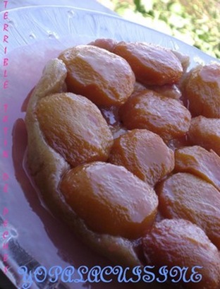 tatin de pêche Yopala cuisine tatin de pêche Yopala cuisine