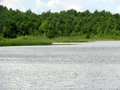 Jezioro Moszne. Pojezierze Łęczyńsko-Włodawskie, 2008.