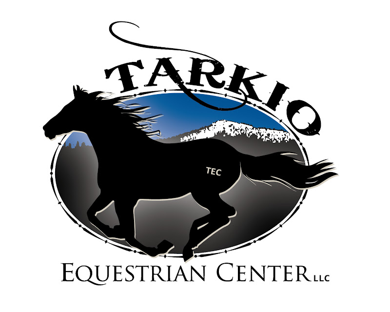 View topic Tarkio Equestrian Champions *Accepting* Chicken Smoothie