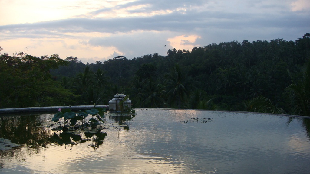 [DSC069682.jpg]