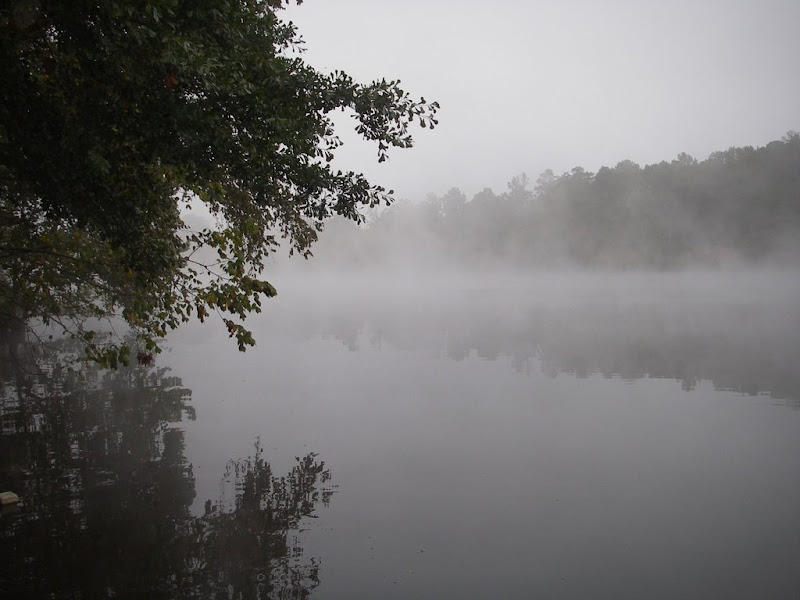Early Morning River Mist