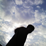 Photographs