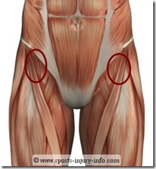 hip-pain-hip-flexor