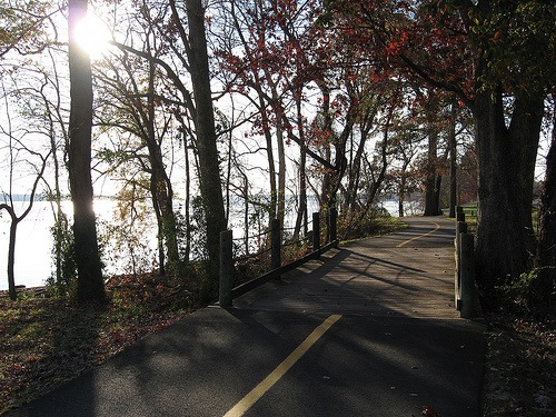 [Mt. Vernon trail[2].jpg]