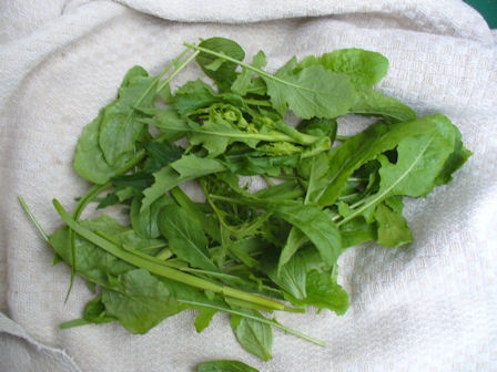 [FirstSalad[3].jpg]