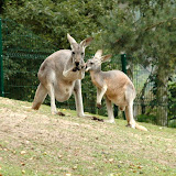 ZOO w Gdansku