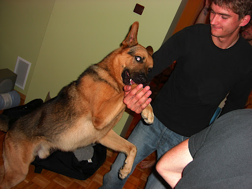 Настроение (d-m H:i)