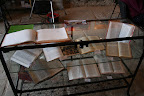 vitrina con Biblias en diferentes lenguas