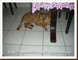 DSCN6149