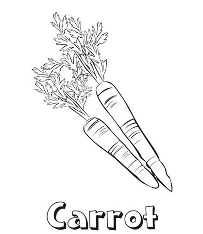 [carrot[4].jpg]