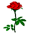 [roses1[2].gif]