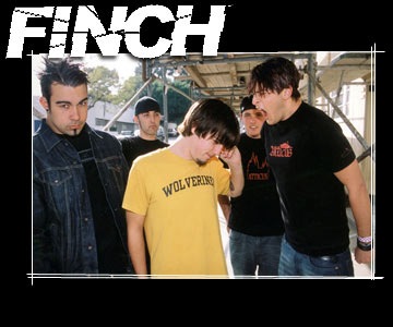 [finch[3].jpg]