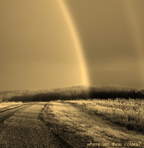 [rainbow_elam_1[109].jpg]