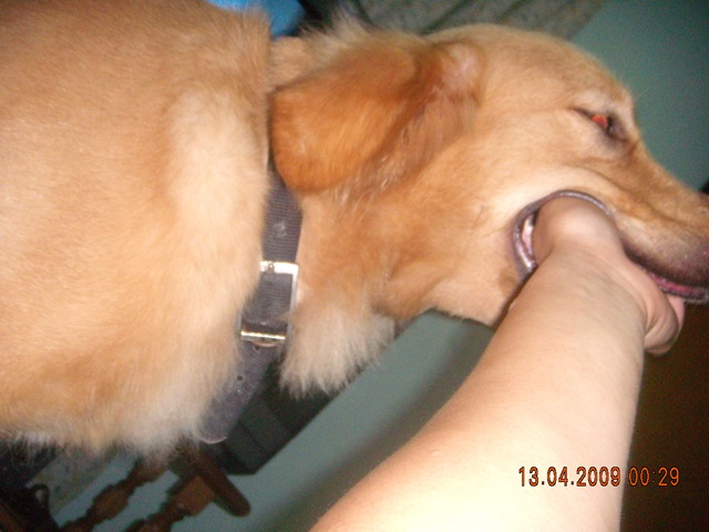 [DSCN28801.jpg]
