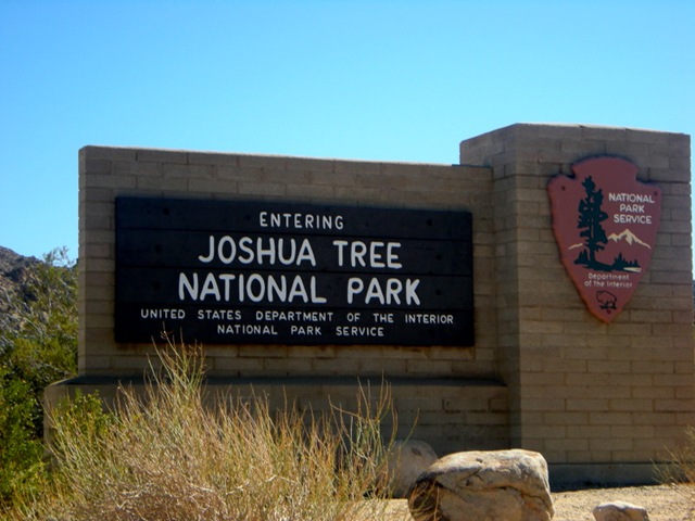 [joshuatreesign[5].jpg]