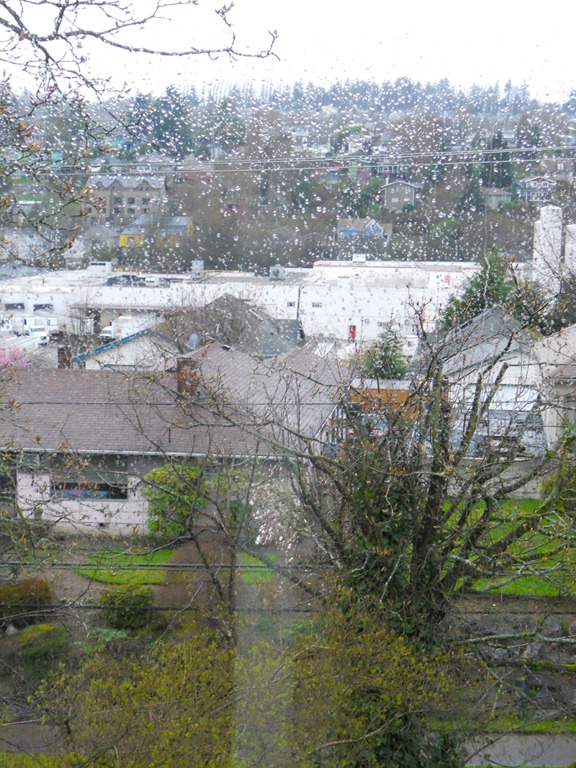 [rain[11].jpg]