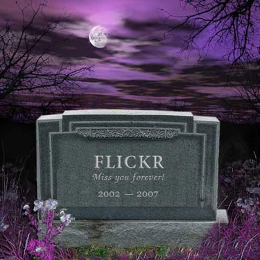 Flickr��come back! - Canary - Cozy Spot