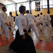 DSC02728.JPG