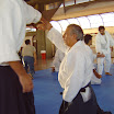 Seminario Donovan16.jpg - Sensei Hugo practicando