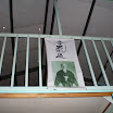 P4200010.JPG
