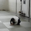 DSC02357.JPG