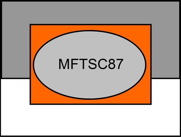 [MFTSC87[3].jpg]