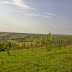 Noul Strand Termal din Marghita, jud. Bihor Noul Strand Marghita%20%285%29 Noul Strand Termal din Marghita, jud. Bihor