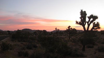 Sunrise at J Tree