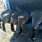 02-15-09_1115.jpg