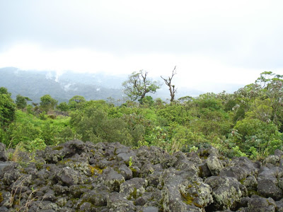 Out in the open air at the foot of the active side of the  volcano.  The rocks are so black!