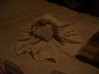Back at the hotel, they made us cute little elephants out of towels to make up for all the mold and mildew.